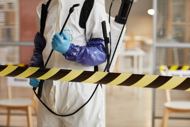 Professional Sewage Cleanup technician working in Marysville, MI